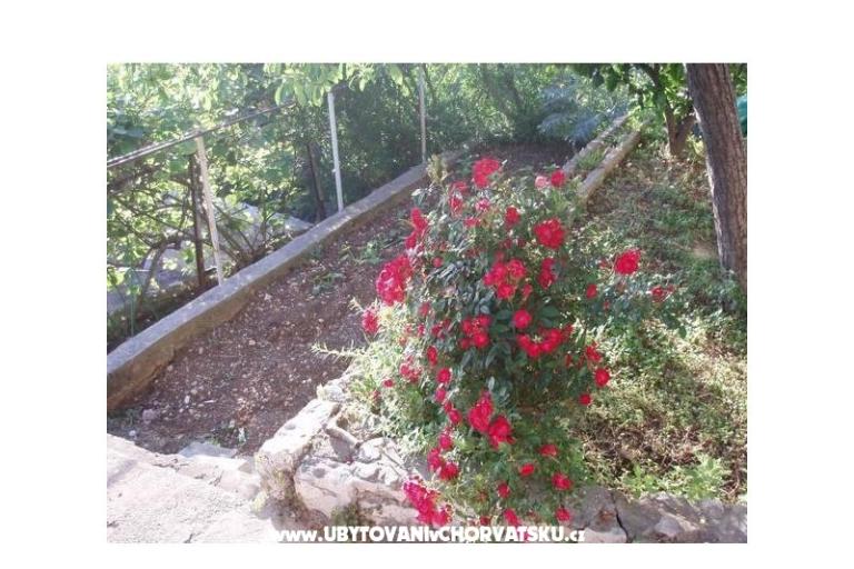 Apartmanok Tiho – fotó 11