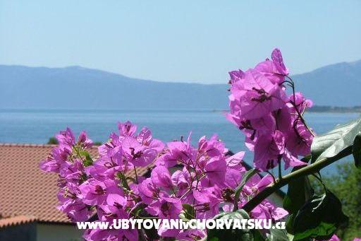 Apartmanok LM – fotó 12