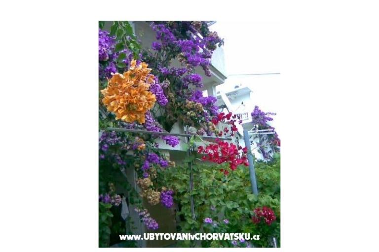 Apartmanok LM – fotó 18