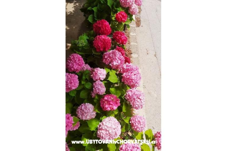 Apartmanok NEDA – fotó 24