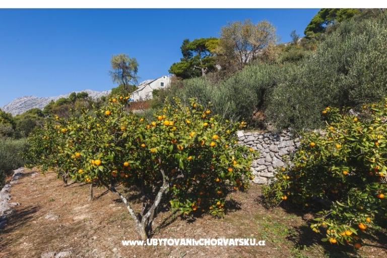 Holiday Home with sea view – fotó 22