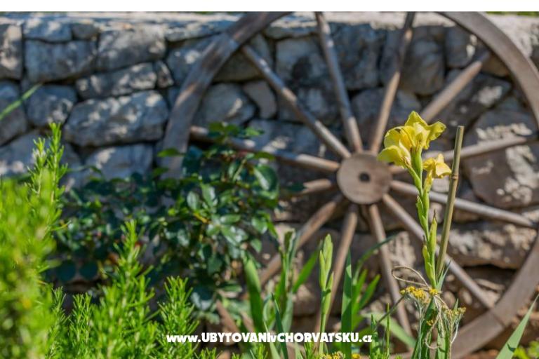 the Melody of Nature – fotó 36