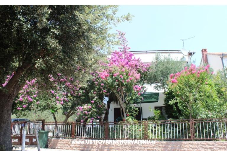 Apartmanok Vila Filipovic – fotó 2