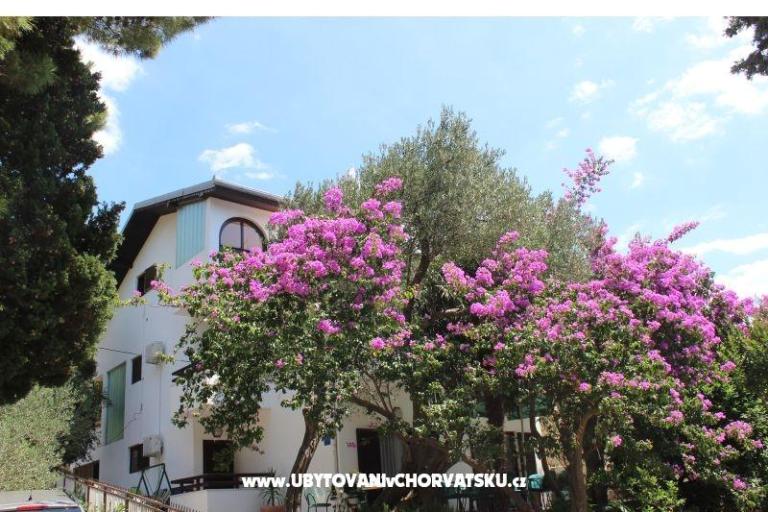 Apartmanok Vila Filipovic – fotó 3