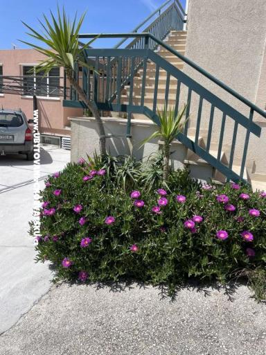 Apartmanok Leko – fotó 22
